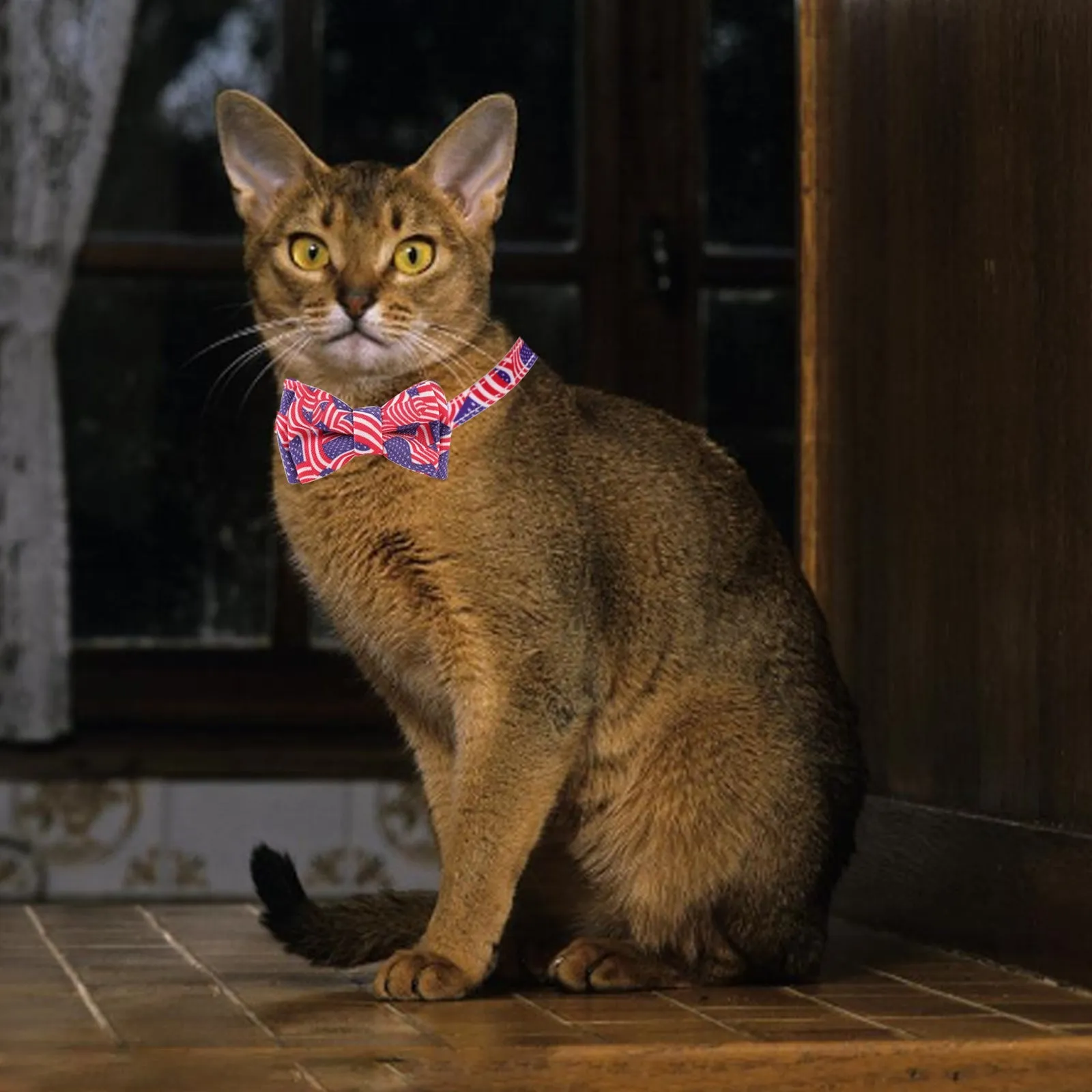 Aiitle American Flag Cat Collar with Bell Bow Tie Star