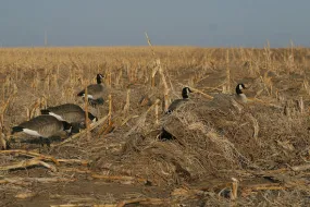 Avery Outdoors Killerweed Layout Blind Kit