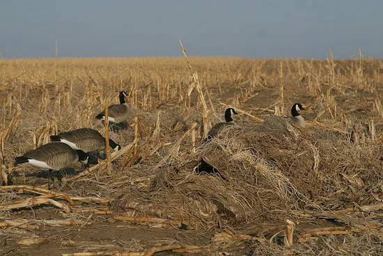 Avery Outdoors Killerweed Layout Blind Kit