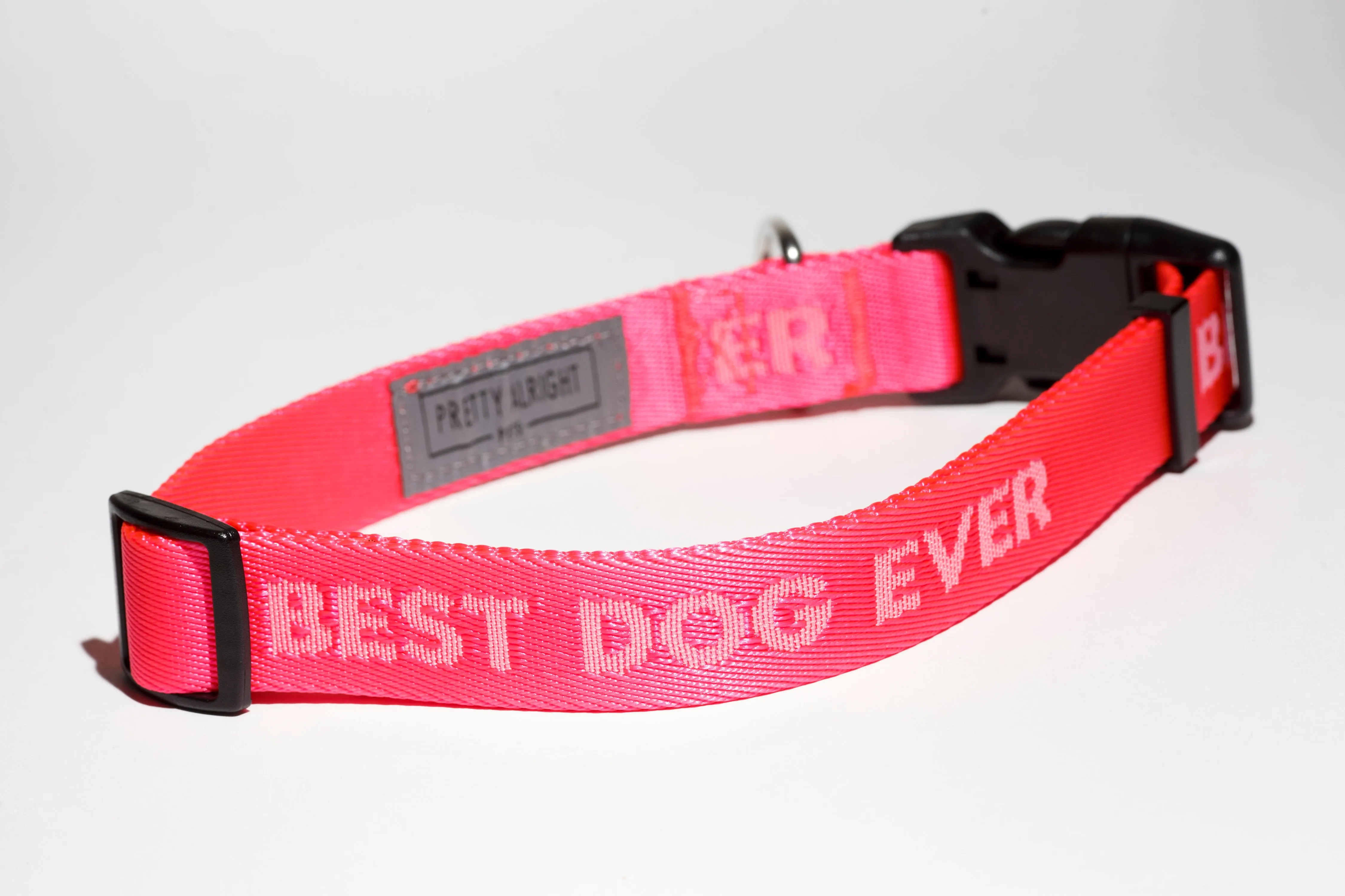 Best Dog Ever (Pink) Dog Collar