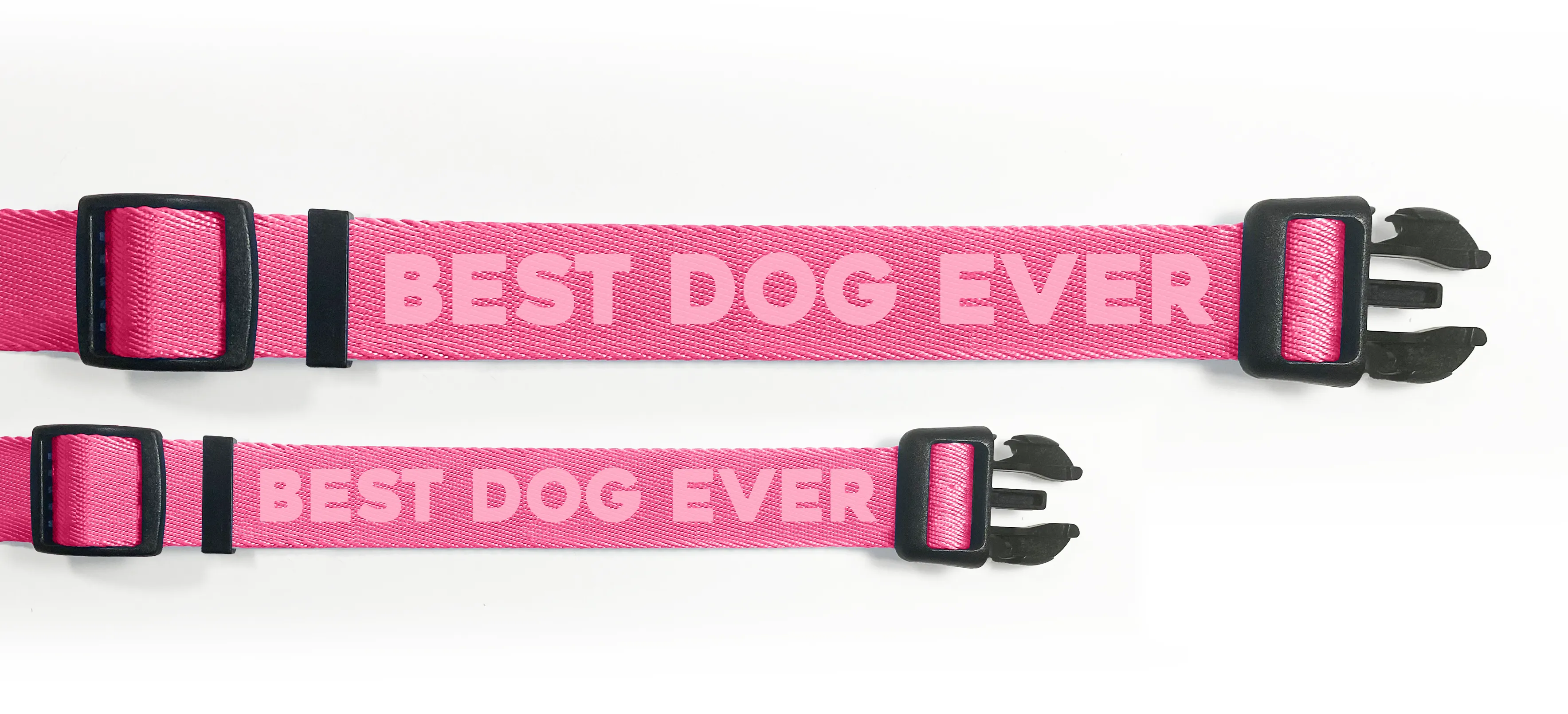 Best Dog Ever (Pink) Dog Collar