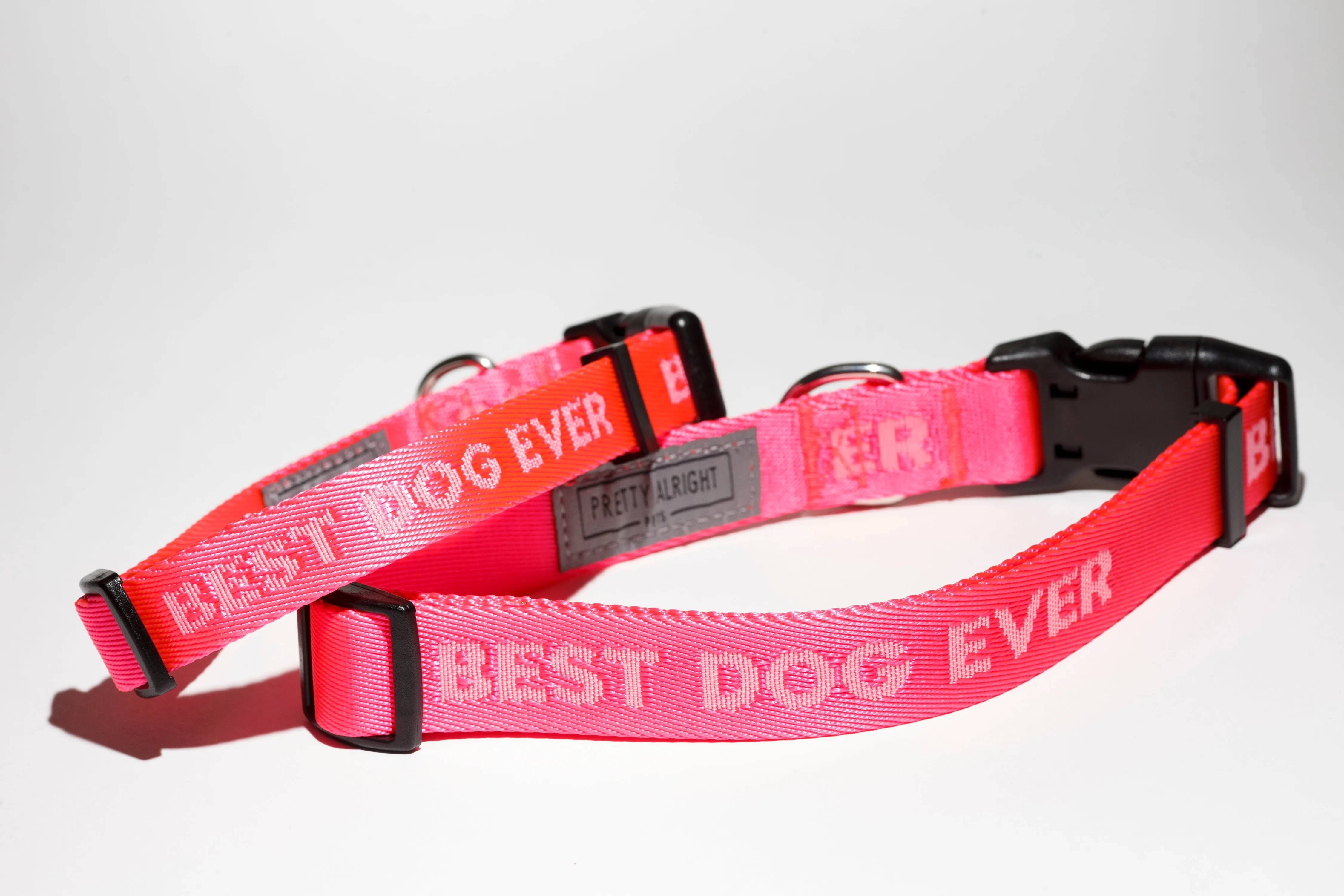 Best Dog Ever (Pink) Dog Collar