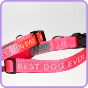 Best Dog Ever (Pink) Dog Collar