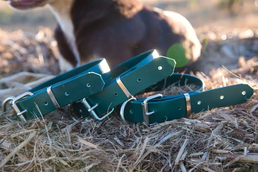 Dog Collar PVC 32mm x 55cm - Green