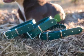 Dog Collar PVC 32mm x 55cm - Green
