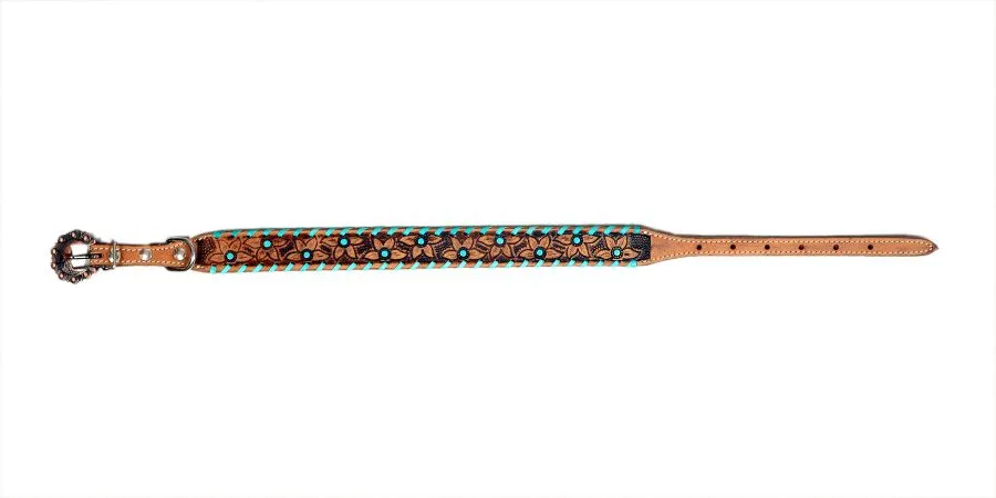 Genuine leather dog collar with teal rawhide.