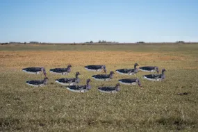 GHG Pro-Grade Specklebelly Goose Sock Decoys