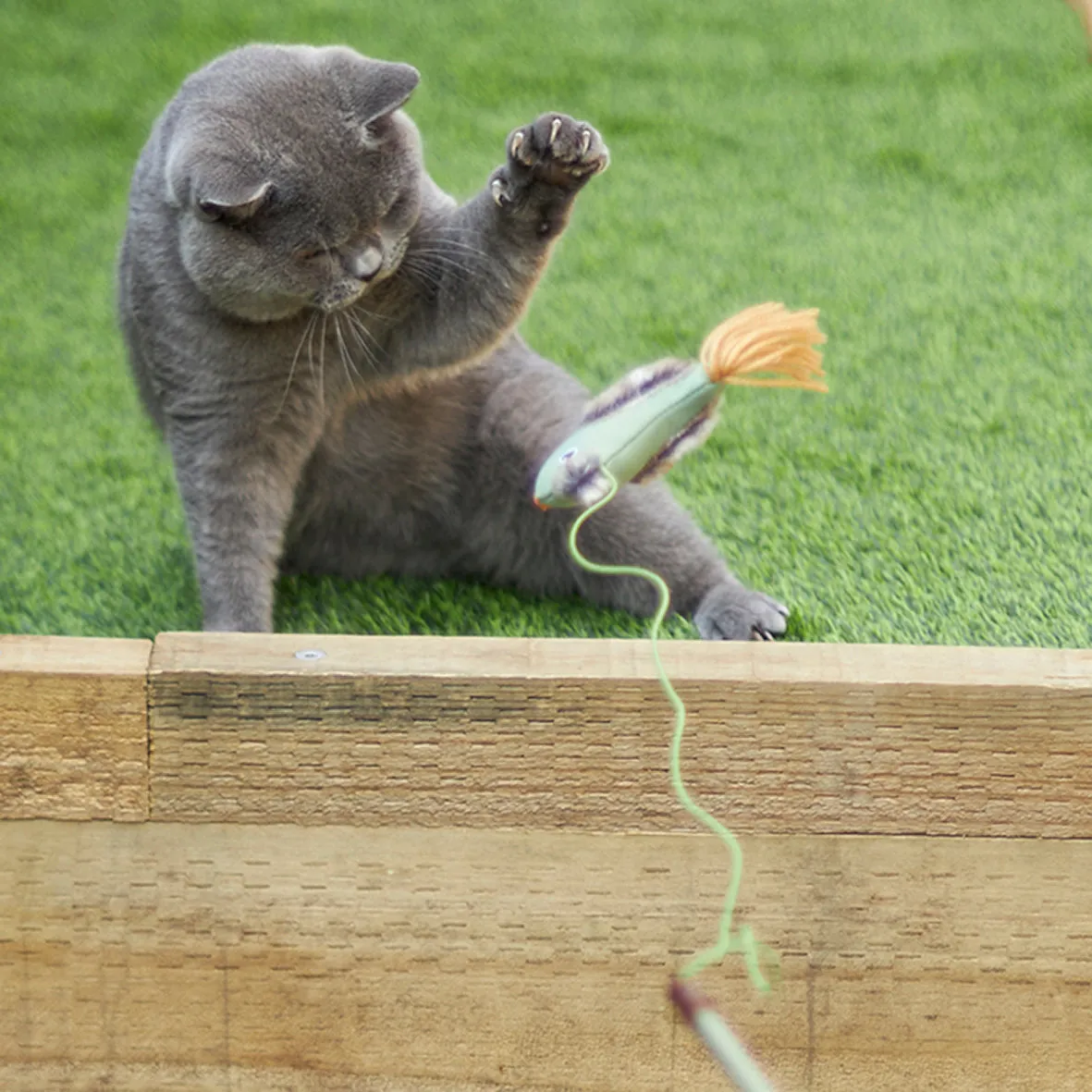 Kazoo Fantail Bird Eco-Friendly Wand Cat Toy