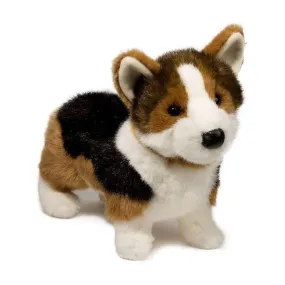 ''Kirby'' Tri-Color Corgi