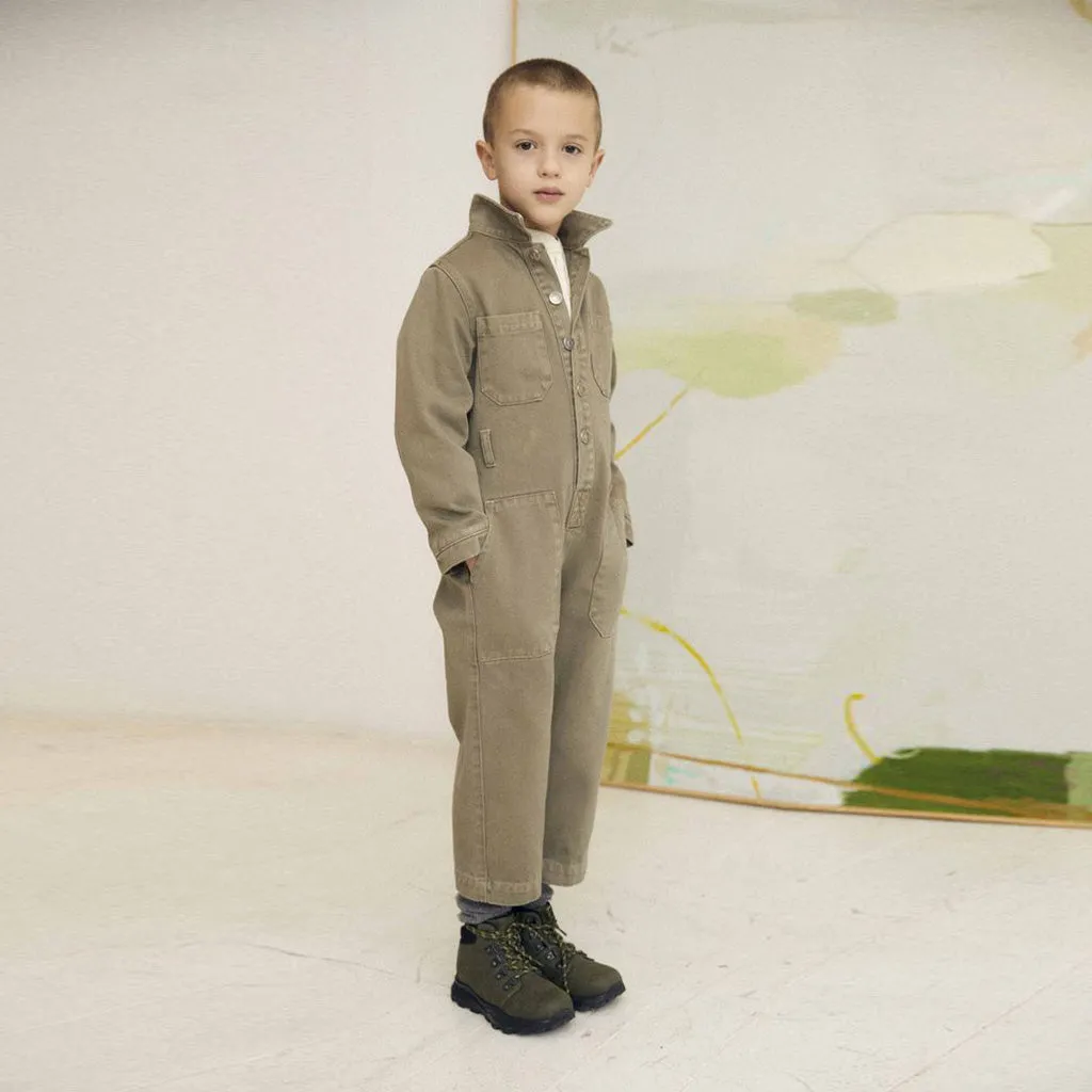 Overall Vincent Dried Herb