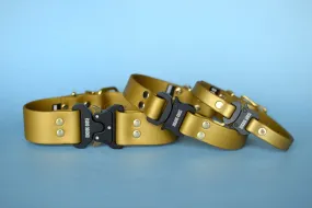 PREMADE COLLECTION - Gold & Brass Biothane Dog Collar