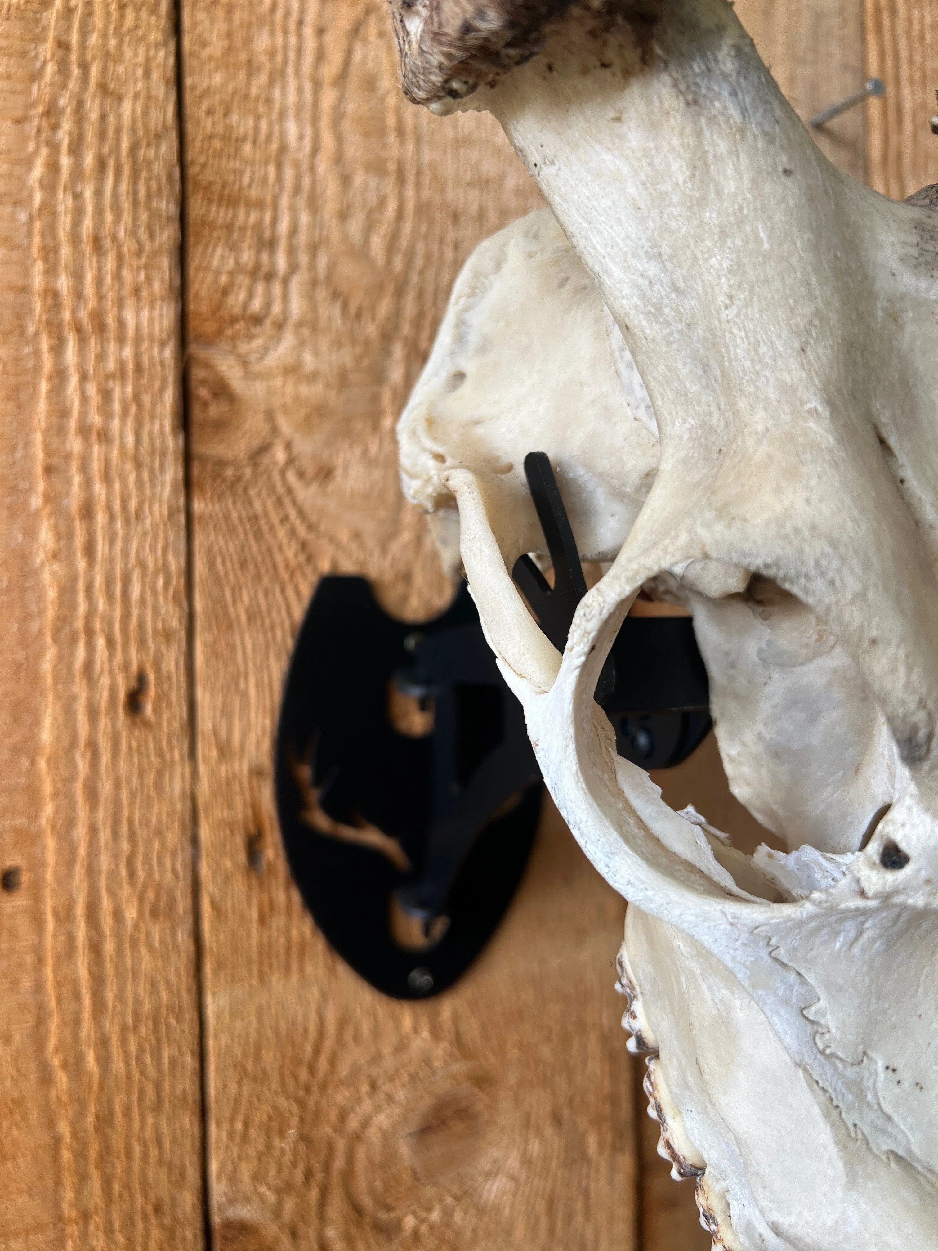 Skull Mount - Universal Standard Arm 180mm