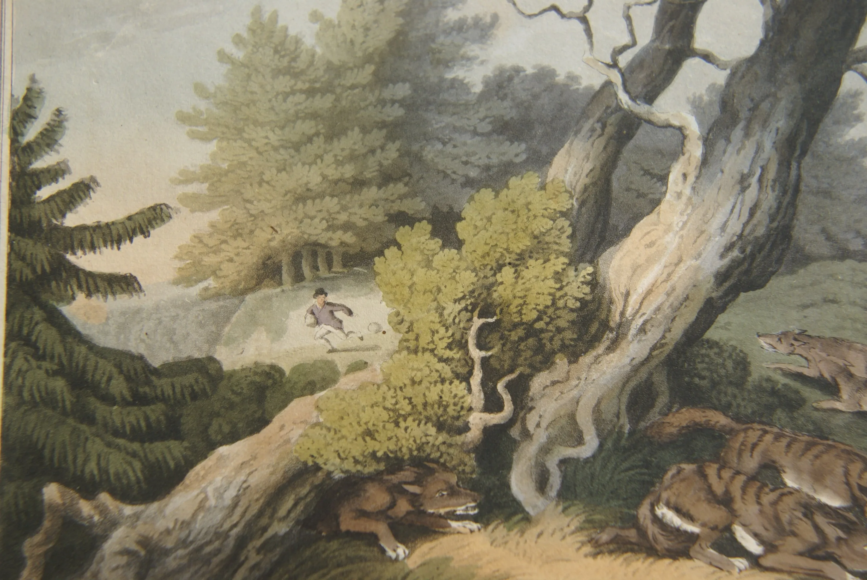 VERY RARE COLLECTOR ILLUSTRATION (1813) HAND COLORED QUARTO AQUATINT ENGRAVING FROM HOWITT & CAPTAIN WILLIAMSON’S AMERICAN ANECDOTE, WOLVES & BOY, FROM FOREIGN FIELD SPORTS, FISHERIES ETC… BY CAPTAIN WILLIAMSON.