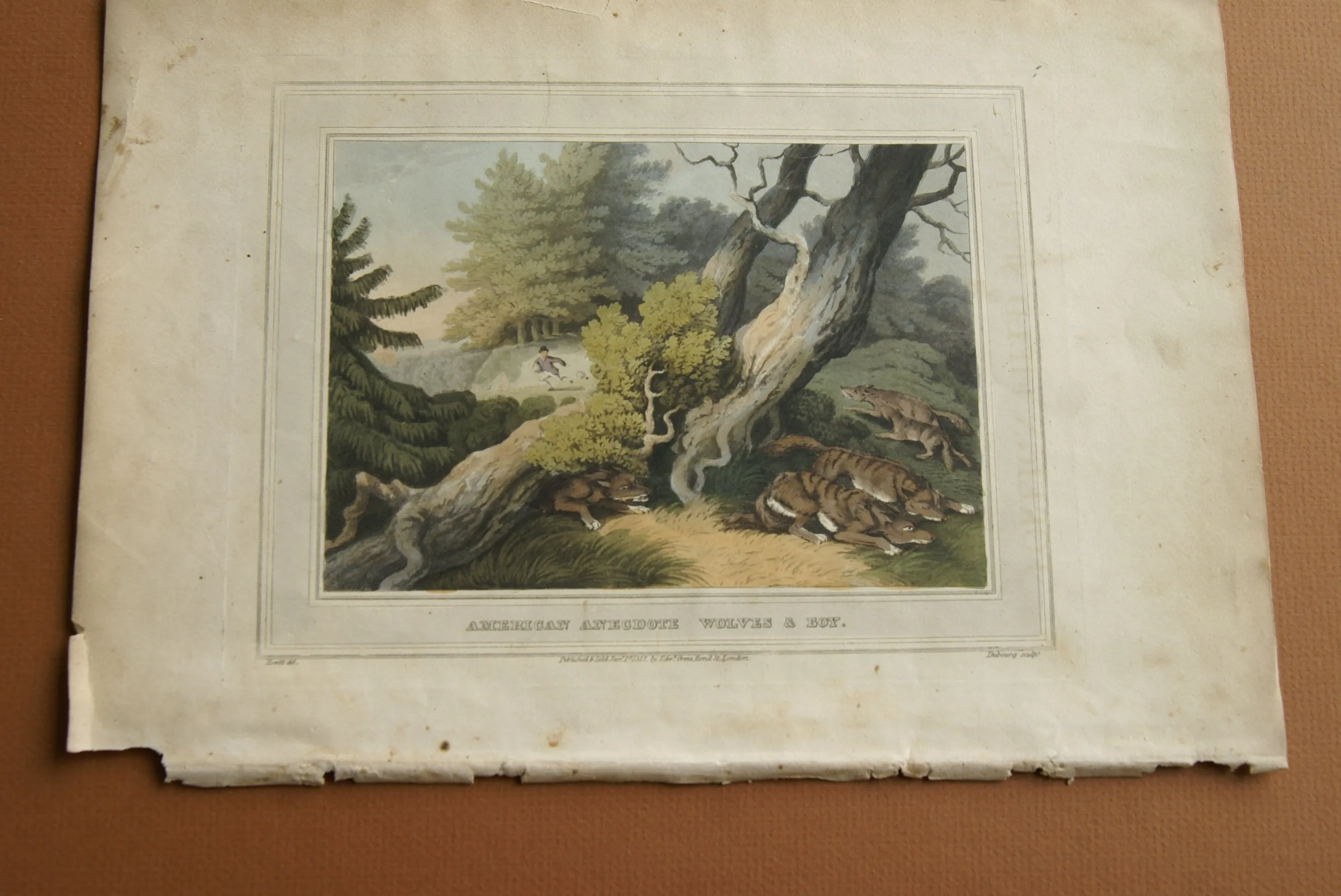 VERY RARE COLLECTOR ILLUSTRATION (1813) HAND COLORED QUARTO AQUATINT ENGRAVING FROM HOWITT & CAPTAIN WILLIAMSON’S AMERICAN ANECDOTE, WOLVES & BOY, FROM FOREIGN FIELD SPORTS, FISHERIES ETC… BY CAPTAIN WILLIAMSON.