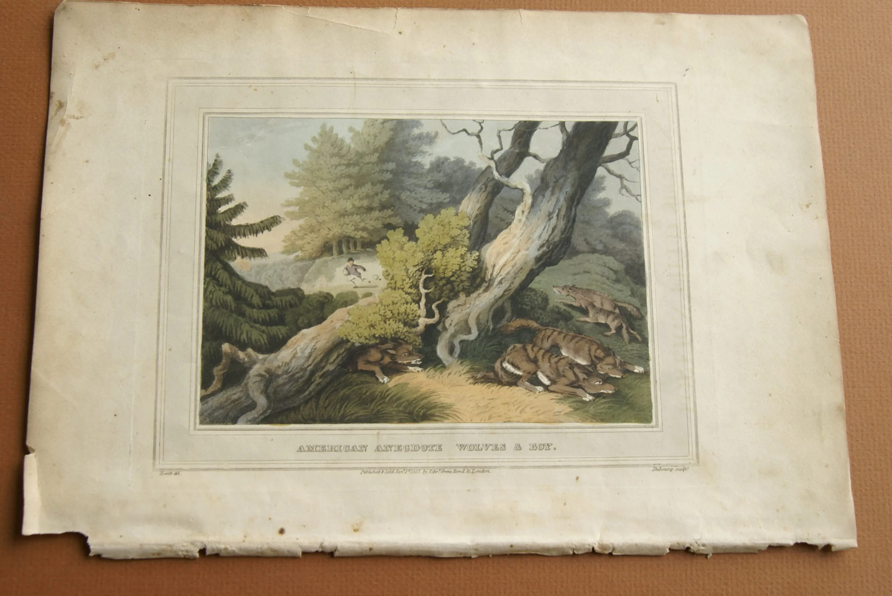 VERY RARE COLLECTOR ILLUSTRATION (1813) HAND COLORED QUARTO AQUATINT ENGRAVING FROM HOWITT & CAPTAIN WILLIAMSON’S AMERICAN ANECDOTE, WOLVES & BOY, FROM FOREIGN FIELD SPORTS, FISHERIES ETC… BY CAPTAIN WILLIAMSON.