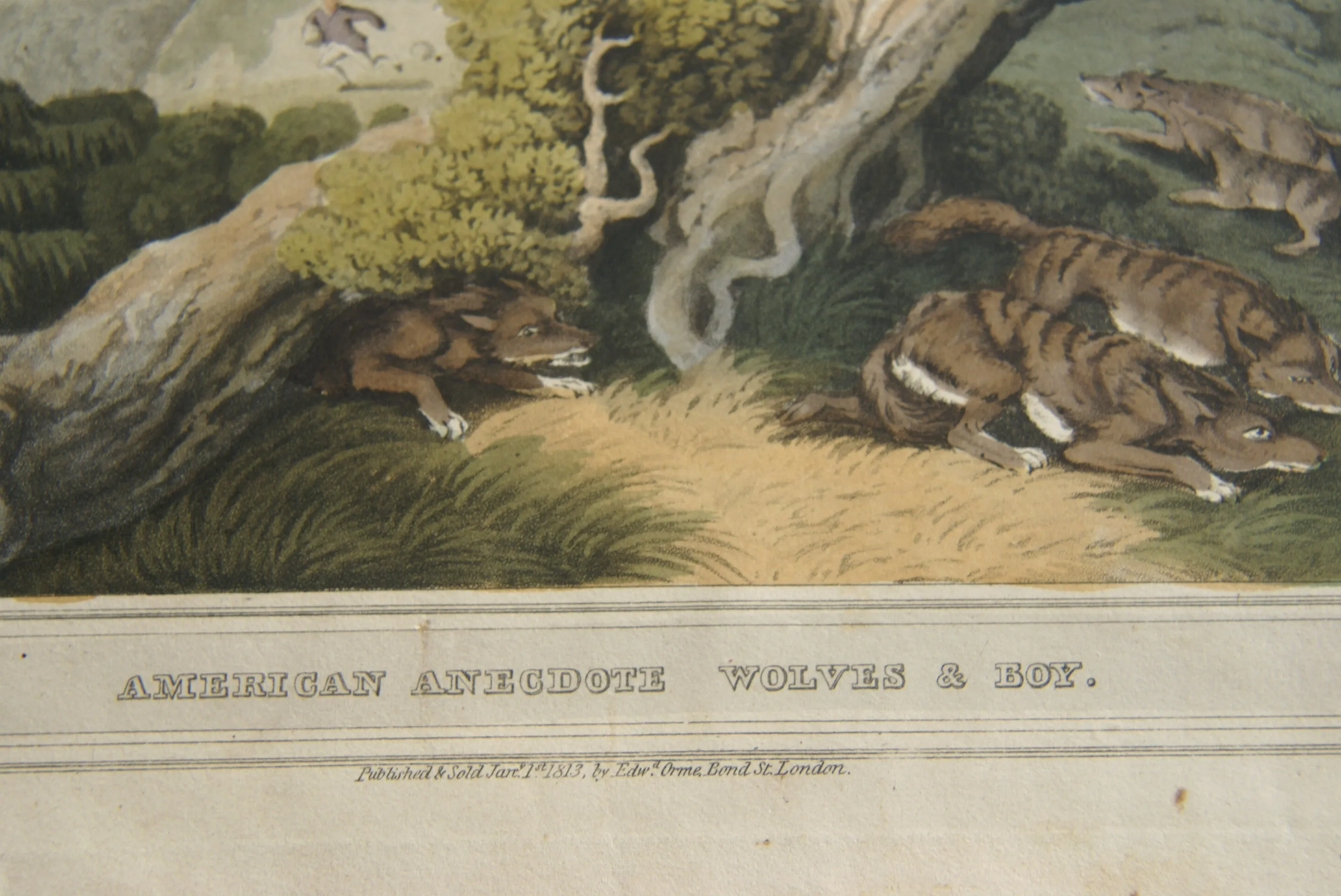 VERY RARE COLLECTOR ILLUSTRATION (1813) HAND COLORED QUARTO AQUATINT ENGRAVING FROM HOWITT & CAPTAIN WILLIAMSON’S AMERICAN ANECDOTE, WOLVES & BOY, FROM FOREIGN FIELD SPORTS, FISHERIES ETC… BY CAPTAIN WILLIAMSON.