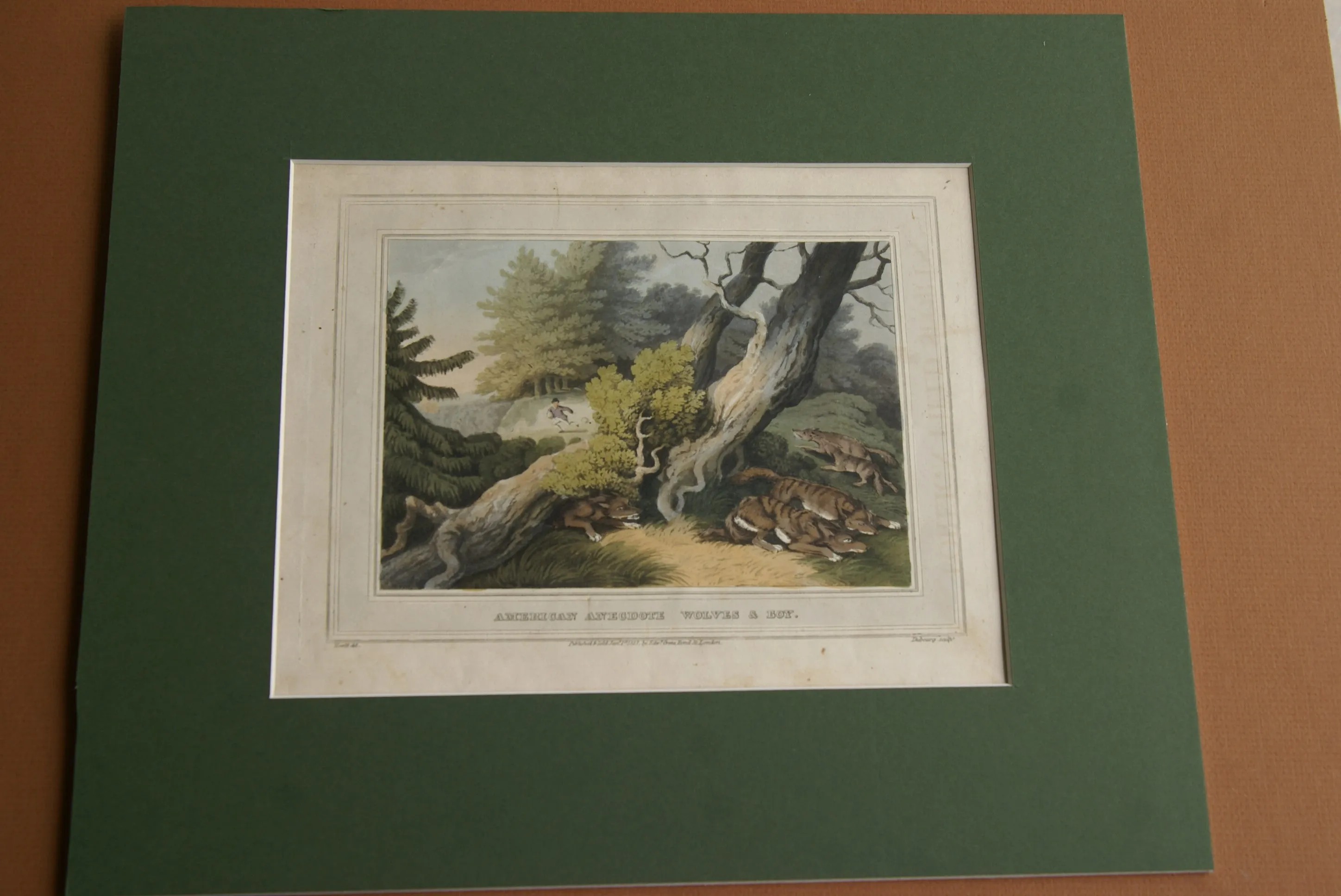 VERY RARE COLLECTOR ILLUSTRATION (1813) HAND COLORED QUARTO AQUATINT ENGRAVING FROM HOWITT & CAPTAIN WILLIAMSON’S AMERICAN ANECDOTE, WOLVES & BOY, FROM FOREIGN FIELD SPORTS, FISHERIES ETC… BY CAPTAIN WILLIAMSON.