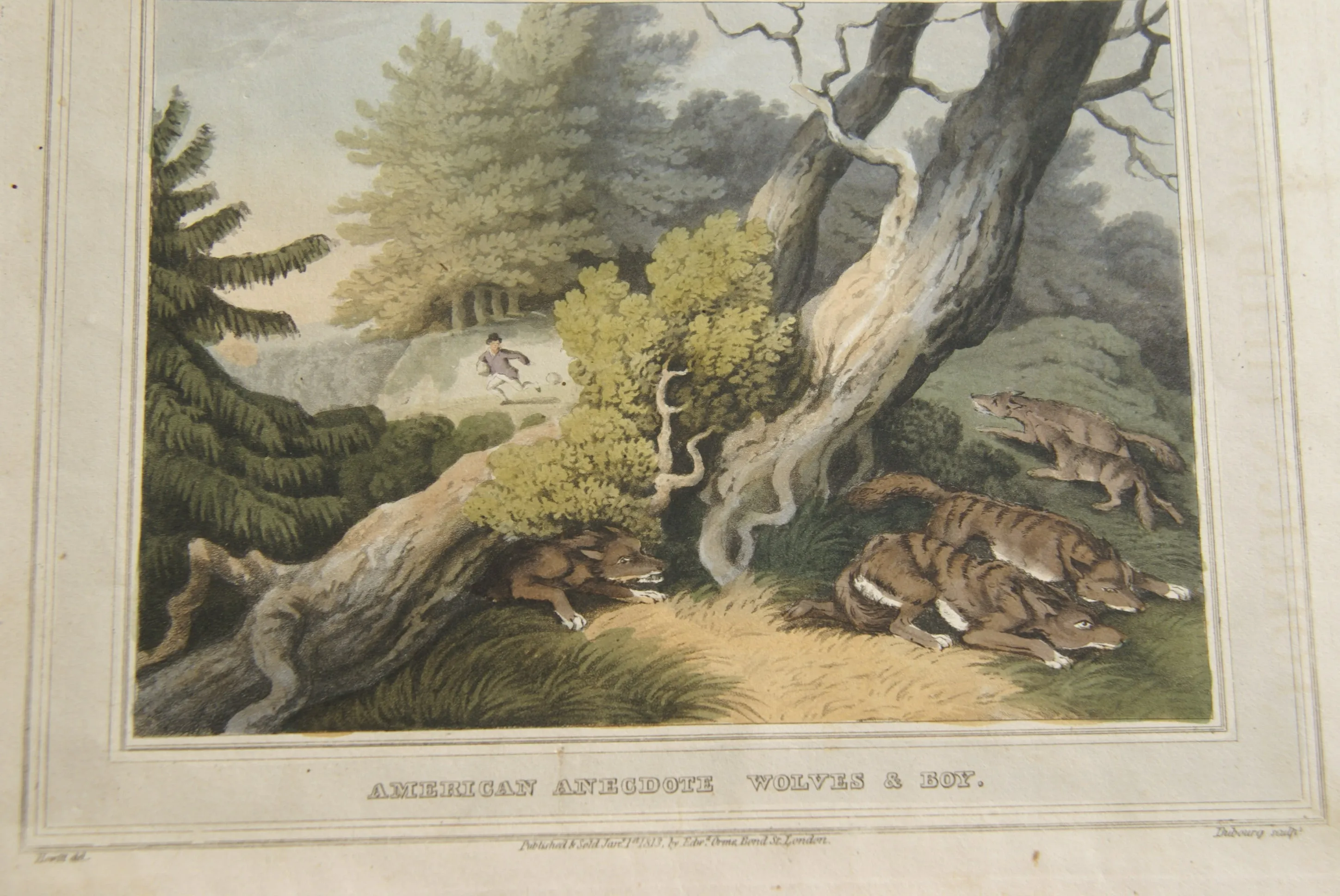 VERY RARE COLLECTOR ILLUSTRATION (1813) HAND COLORED QUARTO AQUATINT ENGRAVING FROM HOWITT & CAPTAIN WILLIAMSON’S AMERICAN ANECDOTE, WOLVES & BOY, FROM FOREIGN FIELD SPORTS, FISHERIES ETC… BY CAPTAIN WILLIAMSON.