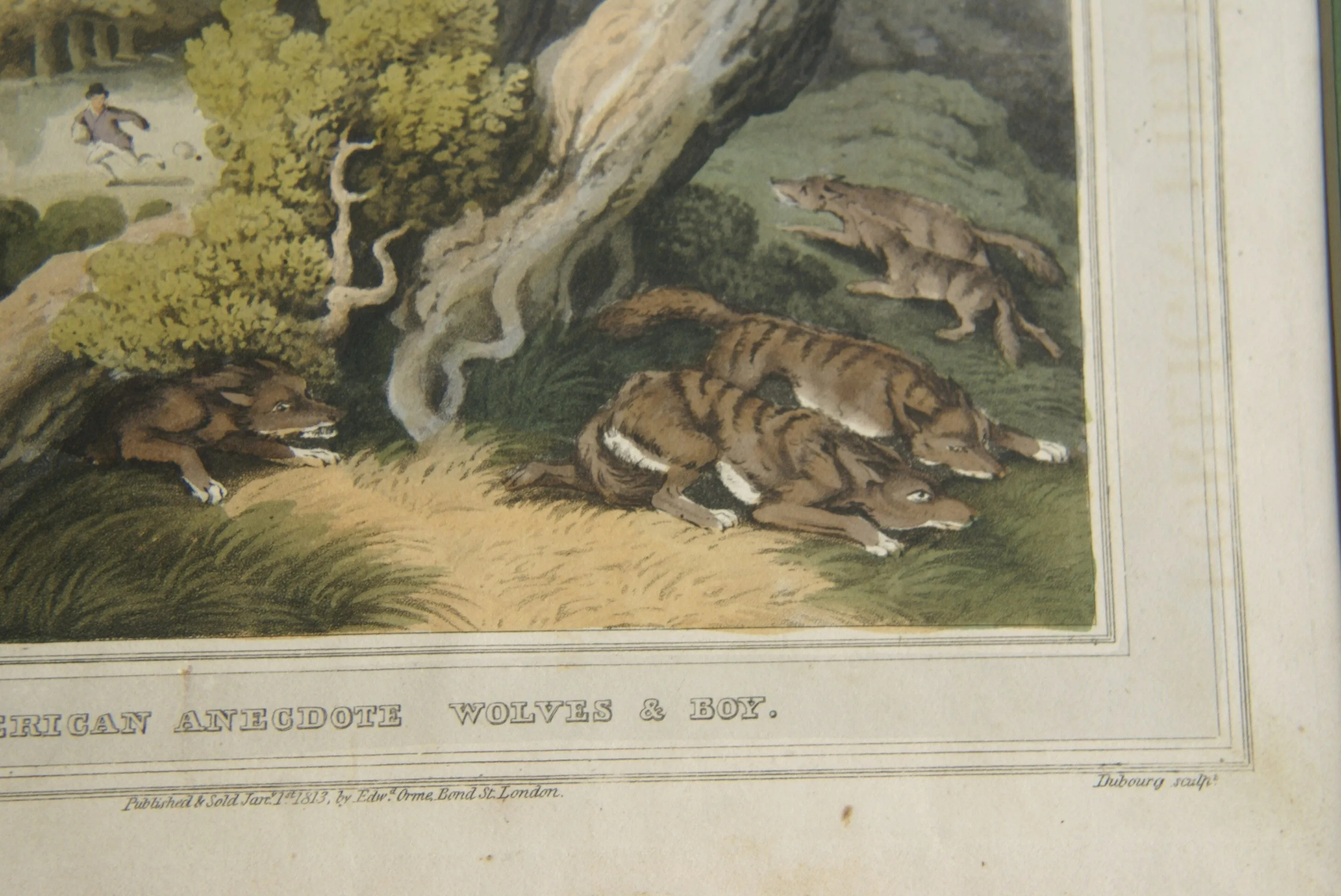 VERY RARE COLLECTOR ILLUSTRATION (1813) HAND COLORED QUARTO AQUATINT ENGRAVING FROM HOWITT & CAPTAIN WILLIAMSON’S AMERICAN ANECDOTE, WOLVES & BOY, FROM FOREIGN FIELD SPORTS, FISHERIES ETC… BY CAPTAIN WILLIAMSON.