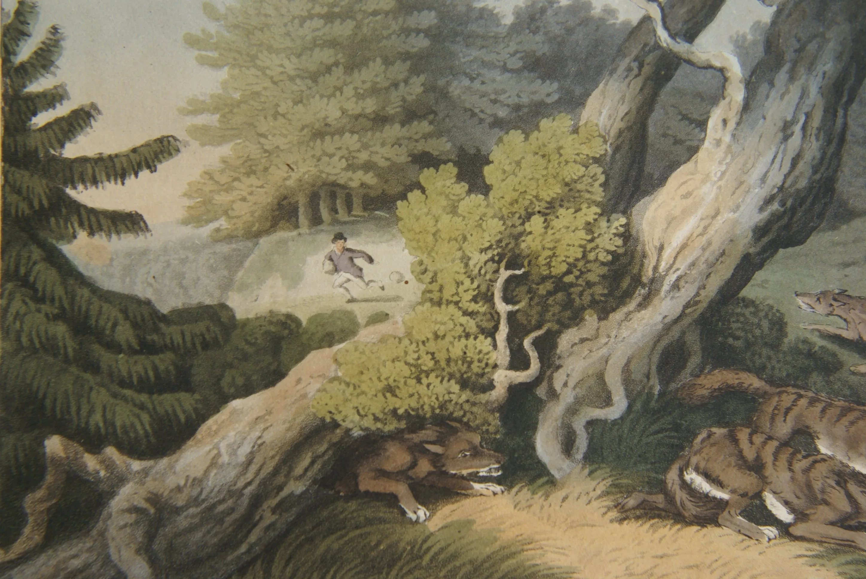 VERY RARE COLLECTOR ILLUSTRATION (1813) HAND COLORED QUARTO AQUATINT ENGRAVING FROM HOWITT & CAPTAIN WILLIAMSON’S AMERICAN ANECDOTE, WOLVES & BOY, FROM FOREIGN FIELD SPORTS, FISHERIES ETC… BY CAPTAIN WILLIAMSON.