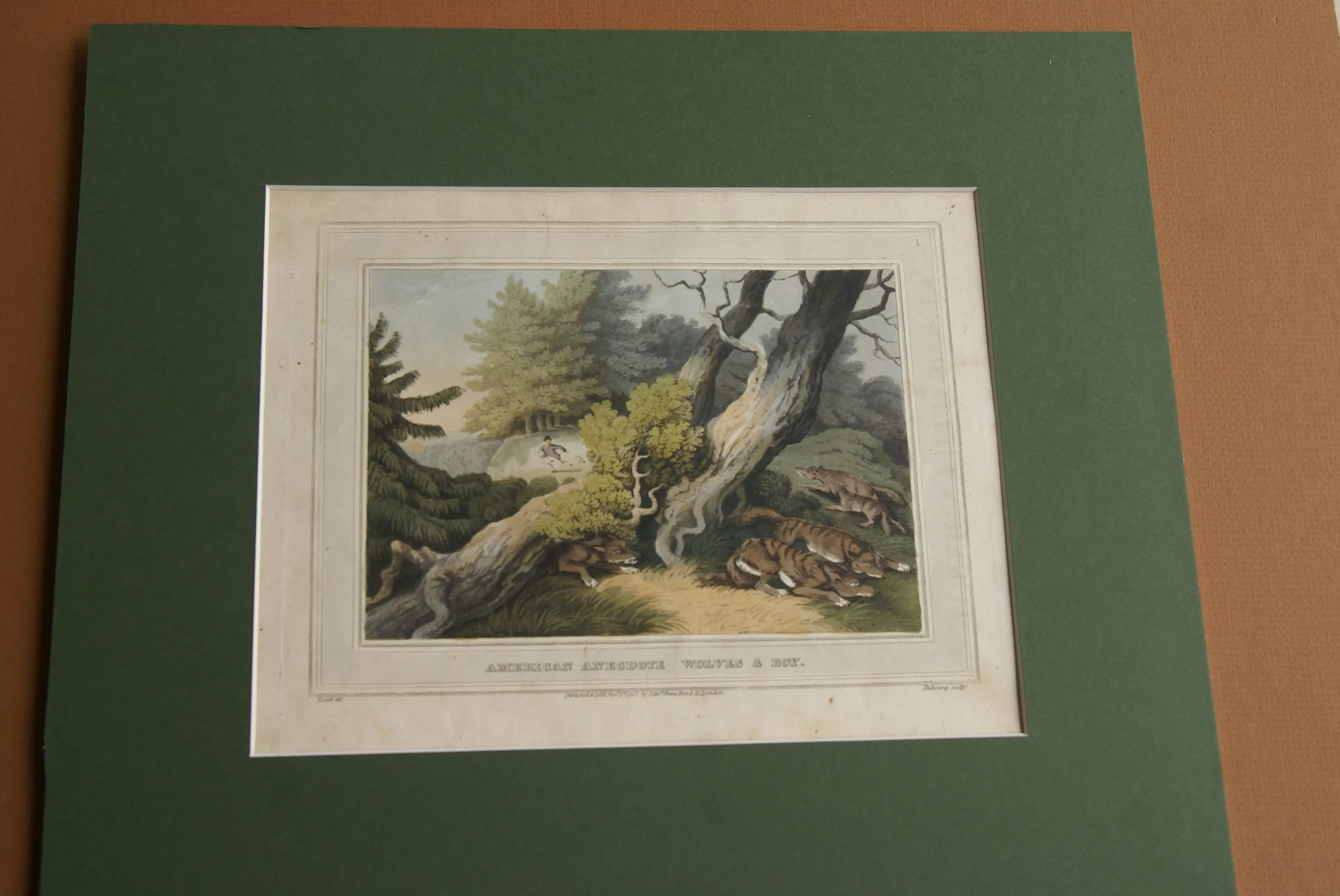 VERY RARE COLLECTOR ILLUSTRATION (1813) HAND COLORED QUARTO AQUATINT ENGRAVING FROM HOWITT & CAPTAIN WILLIAMSON’S AMERICAN ANECDOTE, WOLVES & BOY, FROM FOREIGN FIELD SPORTS, FISHERIES ETC… BY CAPTAIN WILLIAMSON.