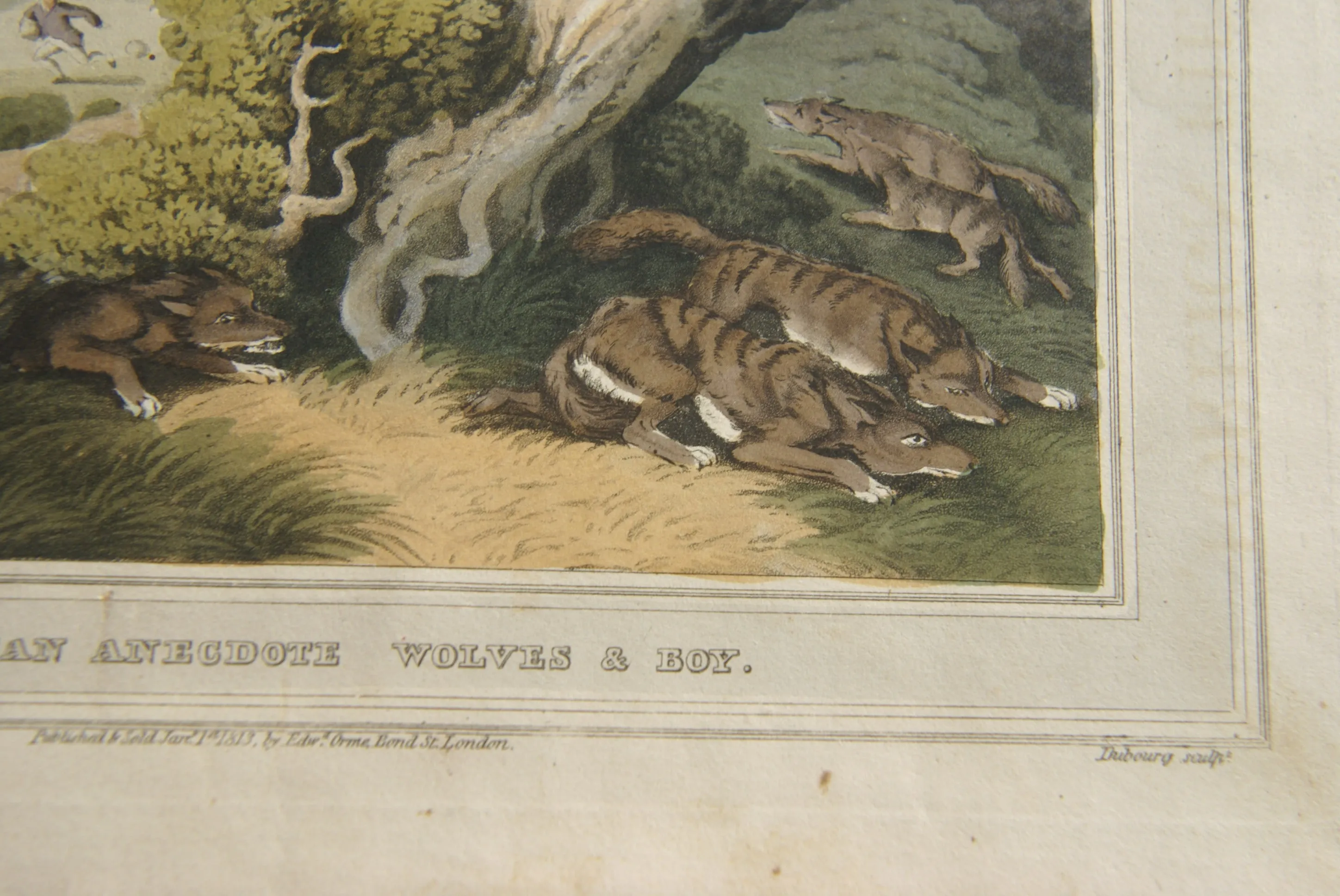 VERY RARE COLLECTOR ILLUSTRATION (1813) HAND COLORED QUARTO AQUATINT ENGRAVING FROM HOWITT & CAPTAIN WILLIAMSON’S AMERICAN ANECDOTE, WOLVES & BOY, FROM FOREIGN FIELD SPORTS, FISHERIES ETC… BY CAPTAIN WILLIAMSON.