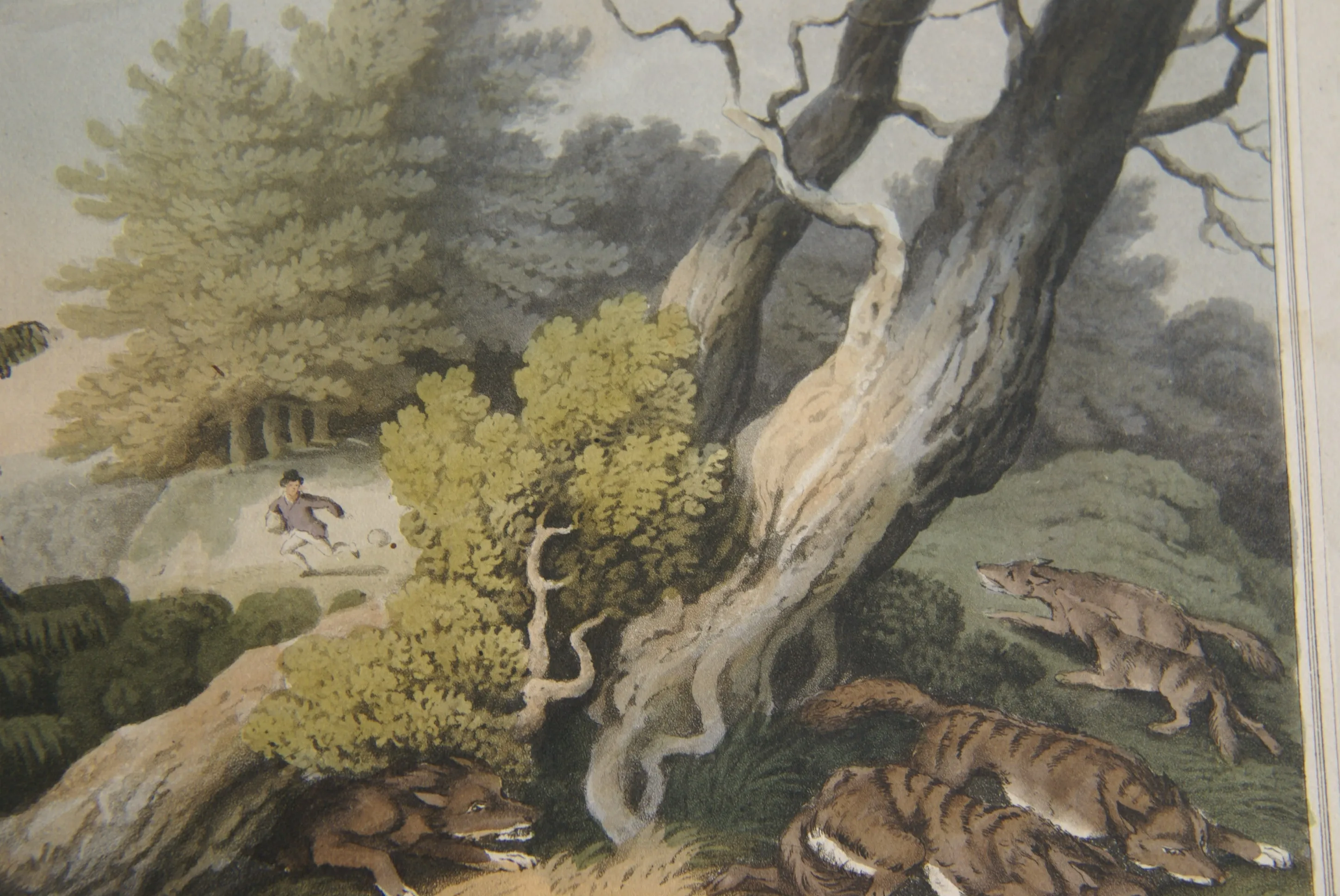 VERY RARE COLLECTOR ILLUSTRATION (1813) HAND COLORED QUARTO AQUATINT ENGRAVING FROM HOWITT & CAPTAIN WILLIAMSON’S AMERICAN ANECDOTE, WOLVES & BOY, FROM FOREIGN FIELD SPORTS, FISHERIES ETC… BY CAPTAIN WILLIAMSON.