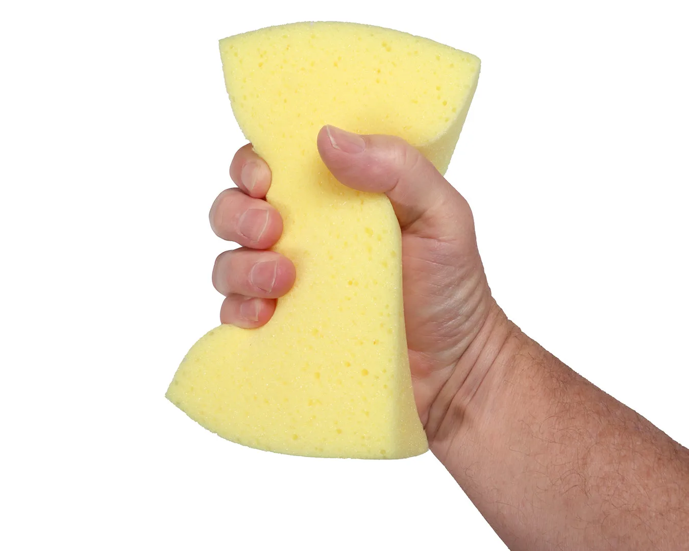 Wash Down Sponge