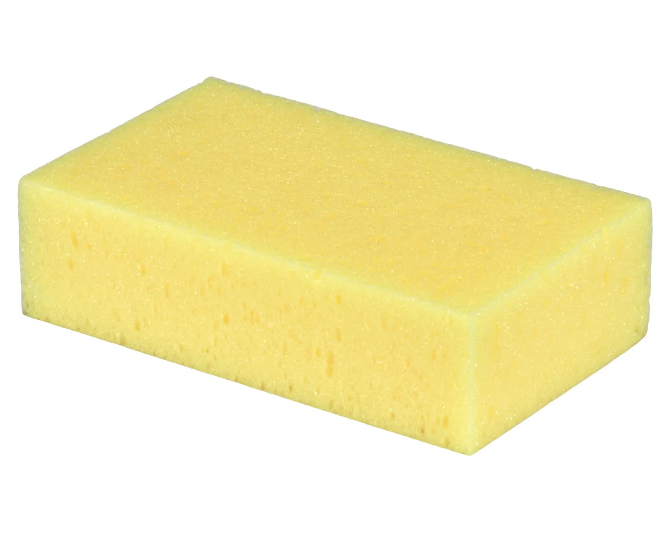 Wash Down Sponge
