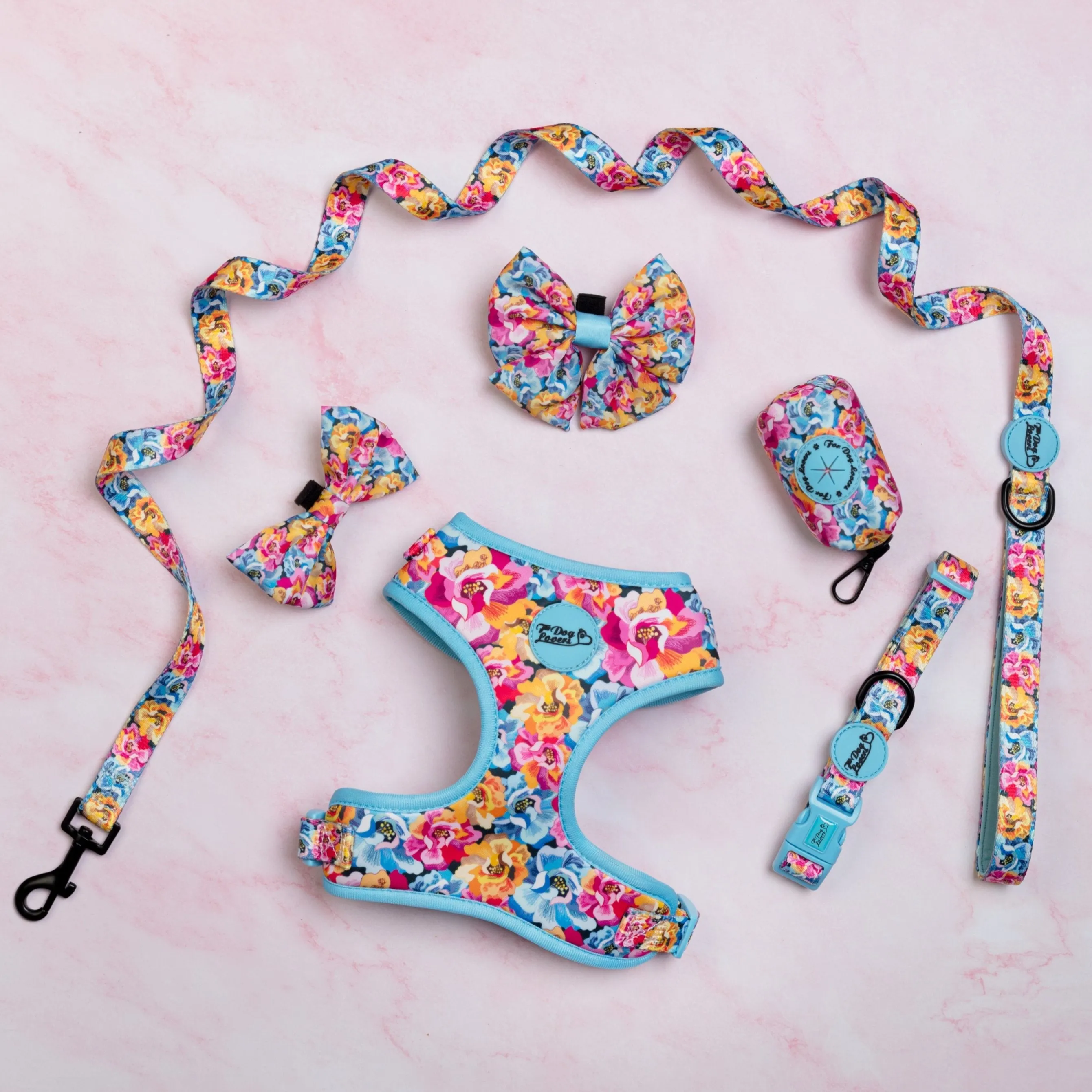 Where Flowers Bloom Dog Collar