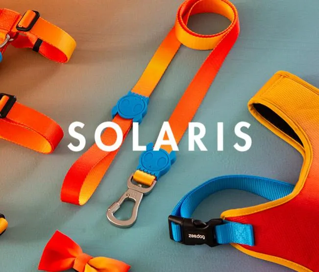 Zee.Dog Solaris Collar